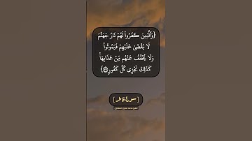 سورة فاطر الآية ٣٦ و ٣٧ بصوت الشيخ محمد صديق المنشاوي