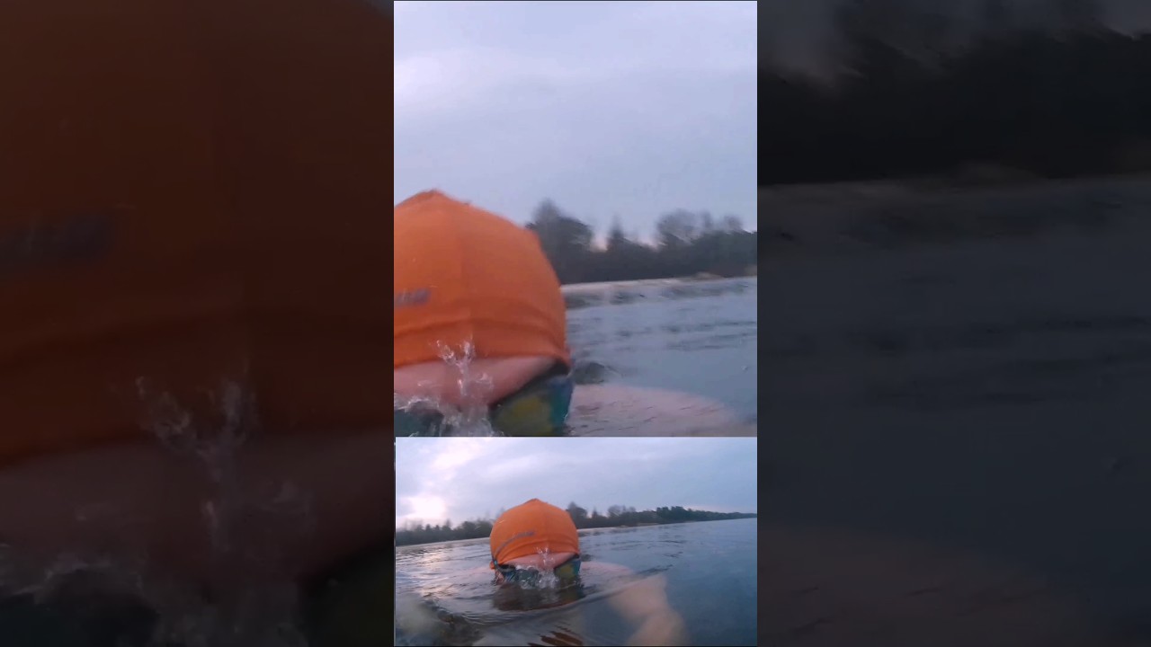 Реку переплыть. Киев Гидропарк. 25.11.2025