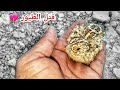 منع الصيادين من قتل الطيور في موسم التكاثر طائر القطا ابو مقتدى منع الصيادين من قتل الطيور في موسم التكاثر طائر القطا ابو مقتدى