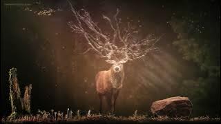 ADHD Relief, Deep Focus Music with Pulsation, ADD Music for Concentration, ADHD Music