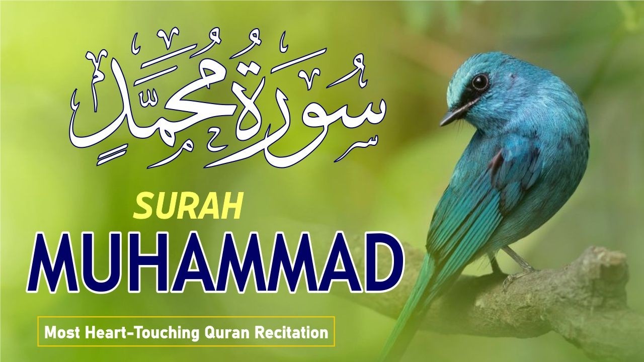Surah Muhammad (سورة محمد) – A Powerful Recitation to Strengthen Faith & Heart