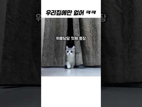 왜 우리집에만 없냥 ㅋㅋ
