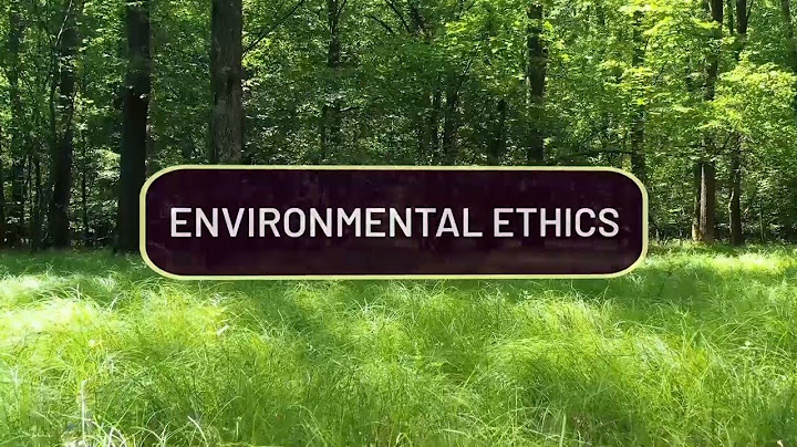 Literature review of report environmental ethics