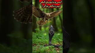 Surah Al-Ghashiyah | Heart Touching Quran Recitation | Relaxing Tilawat
