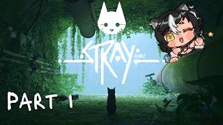 I'm a cat tuber now! Stray Part 1