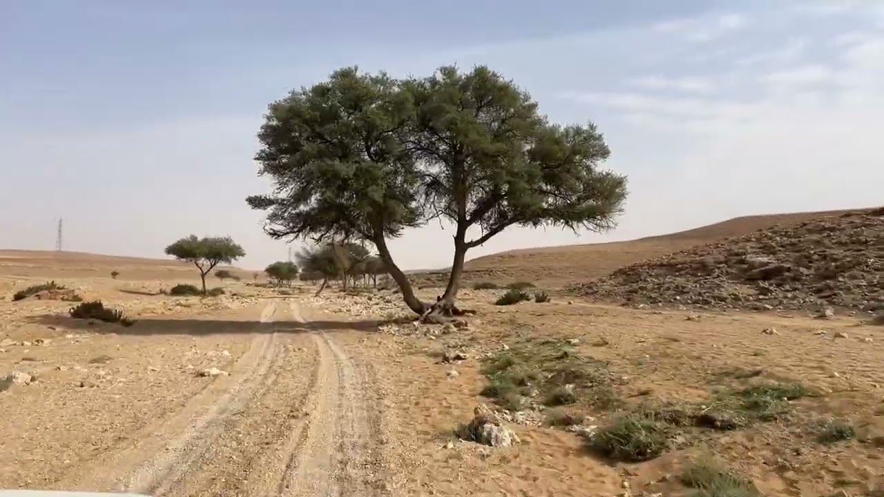 شعيب ابو طليح في سدير