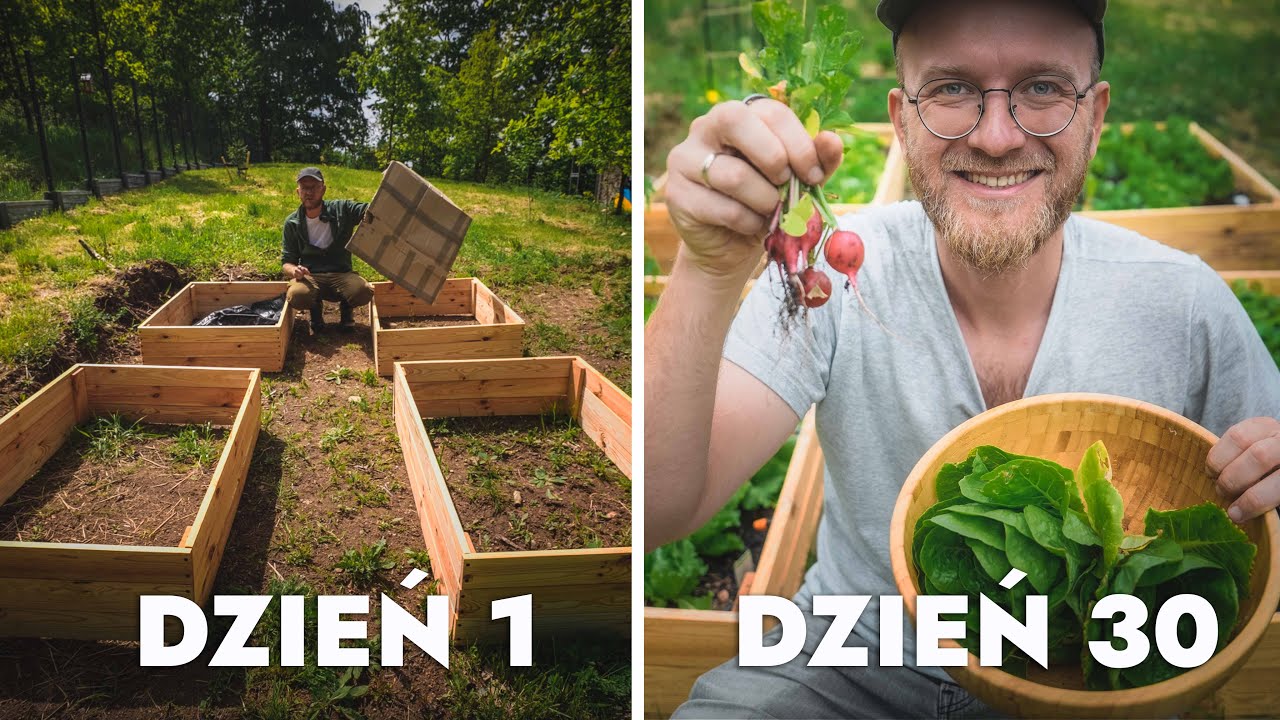 Własny eko WARZYWNIK dla POCZĄTKUJĄCYCH 🥬🥕