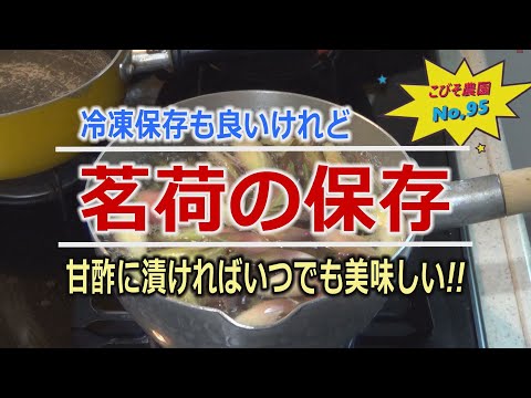 茗荷の保存 こびそ農園 No,95