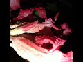 TODO ROSA - Levi