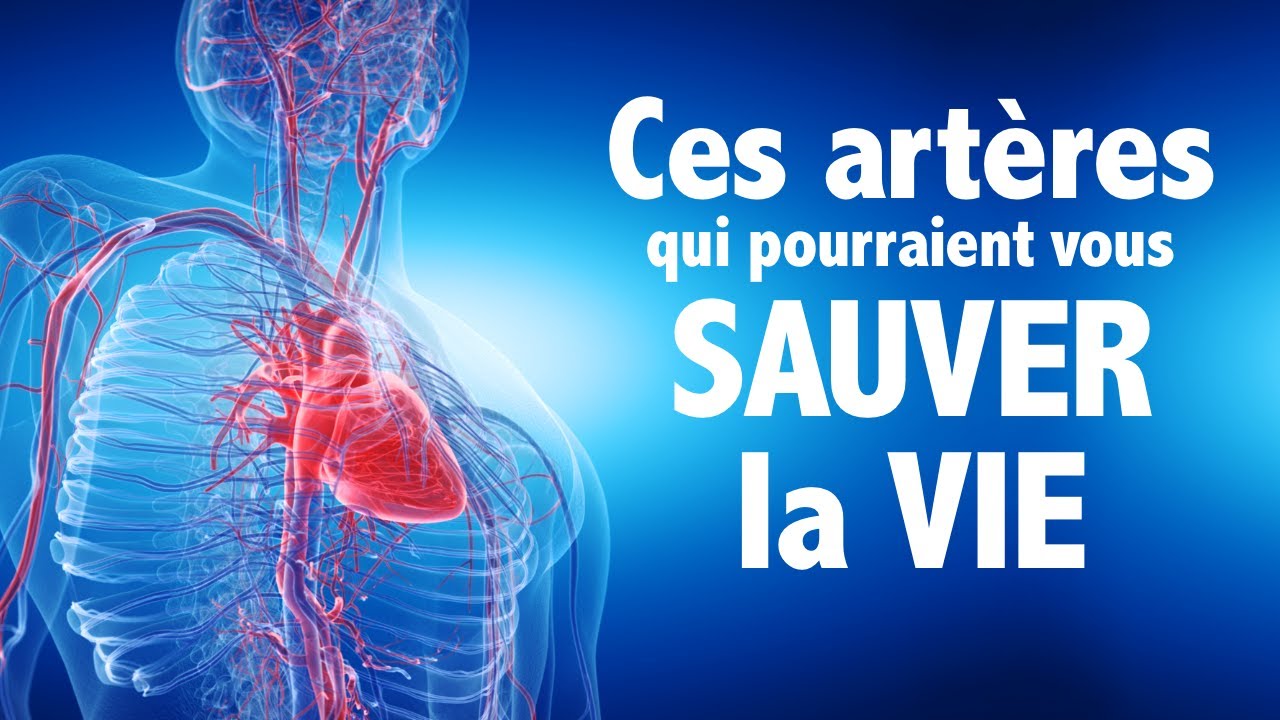 ces-art-res-qui-pourraient-vous-sauver-la-vie-youtube