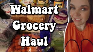 Weekly Grocery Haul || Walmart Grocery Haul || Andrea Shaenanigans