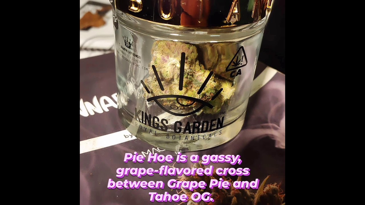 Pie Hoe Review#