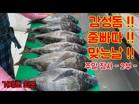 감성돔 <strong>줄빠따</strong> 맞는 날!! 주말 장사 -2부-