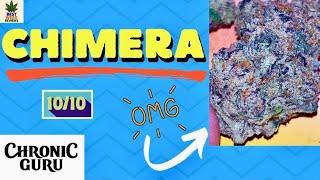 Chimera Strain Review | Chronic Guru 🌿