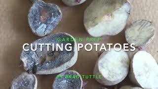 Cutting Potatoes For Planting