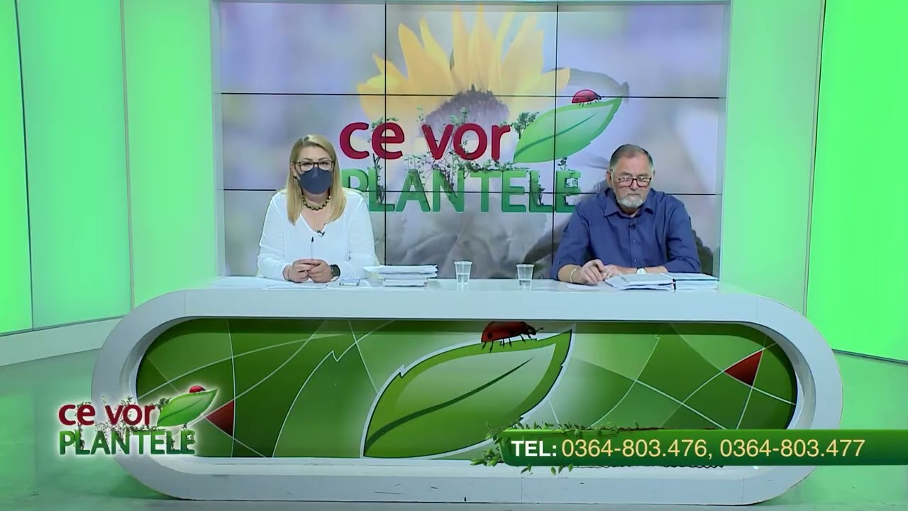 VIDEO Dr. Ing. Horia Ghibu - Tratamente pentru pomii fructiferi în perioada următoare 1 VIDEO Dr. Ing. Horia Ghibu - Tratamente pentru pomii fructiferi în perioada următoare YouTube player