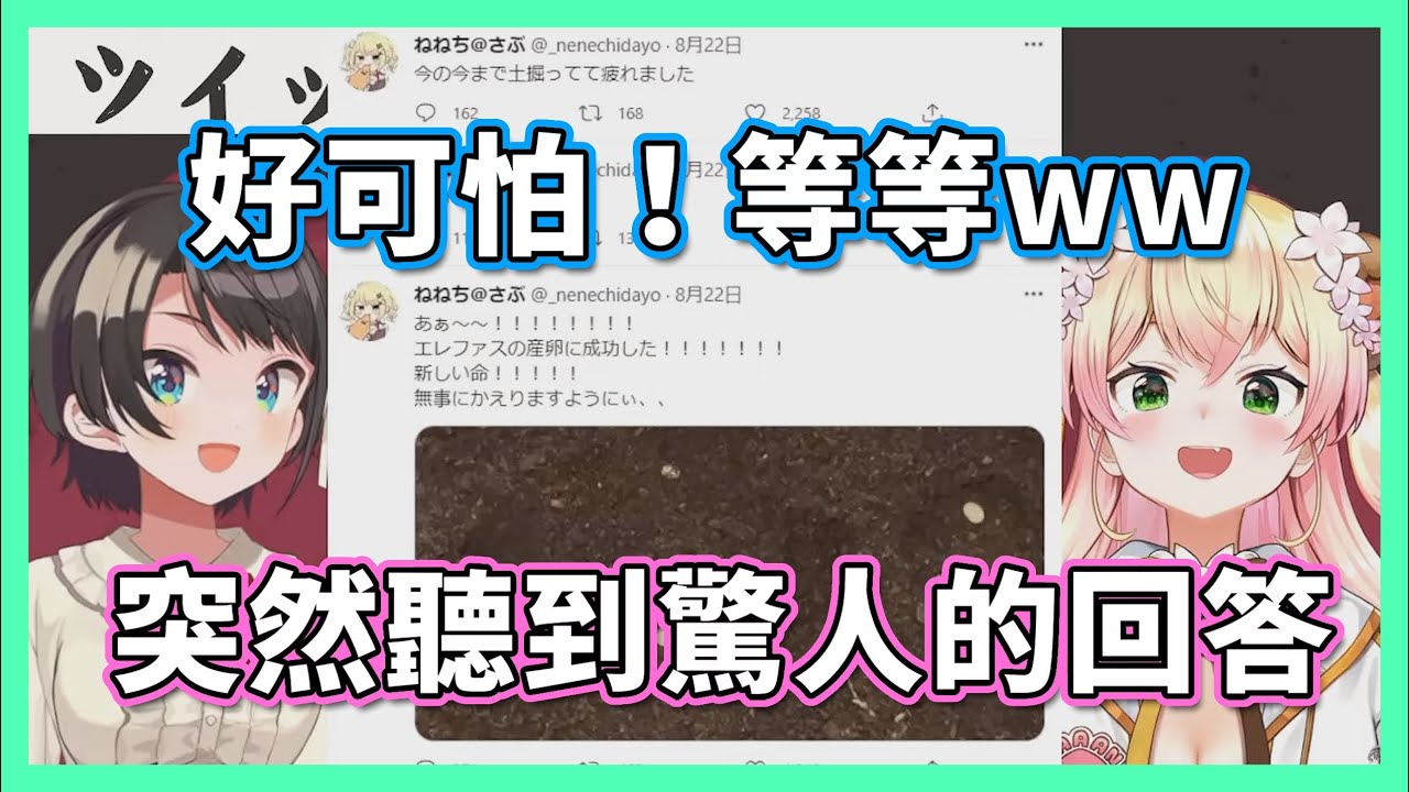 486問Nene如何處理多出來的昆蟲 意想不到的回答讓她驚呆了！？【hololive/大空スバル．桃鈴ねね】