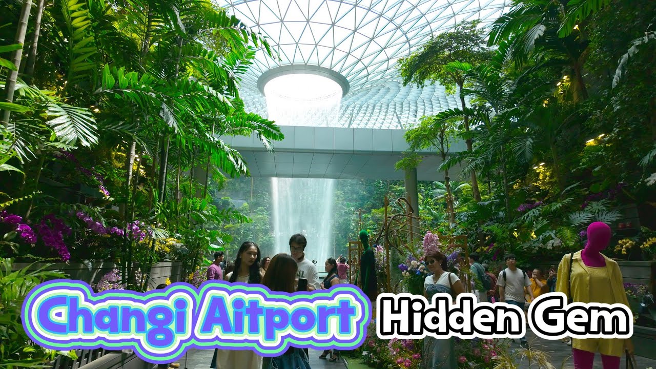 Hidden Gem Changi Airport Singapore - YouTube