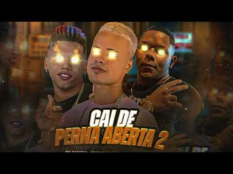 TROVÃO NO BEAT - GORDINHO BOLADO - MC DANINHO - CAI DE PERNA ABERTA 2 (vai rolar uma festinha )