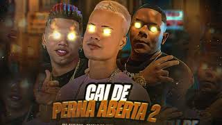 TROVÃO NO BEAT - GORDINHO BOLADO - MC DANINHO - CAI DE PERNA ABERTA 2 (vai rolar uma festinha )
