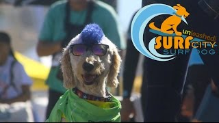Information Unleashed by Petco Surf City Surf Dog® | 2016 Guide
