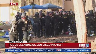 UC San Diego protestors seen being taken into police custody.