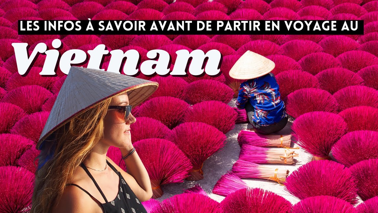Réussir son Voyage au VIETNAM 🇻🇳 en 2024 : Infos et Conseils, Transport, Argent, Carte Sim…