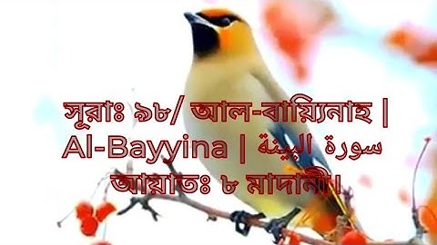 সূরাঃ ৯৮/ আল-বায়্যিনাহ | Al-Bayyina | سورة البينة আয়াতঃ ৮ মাদানী। তেলাওয়াত করেছেন মোঃ নুরুজ্জামান।