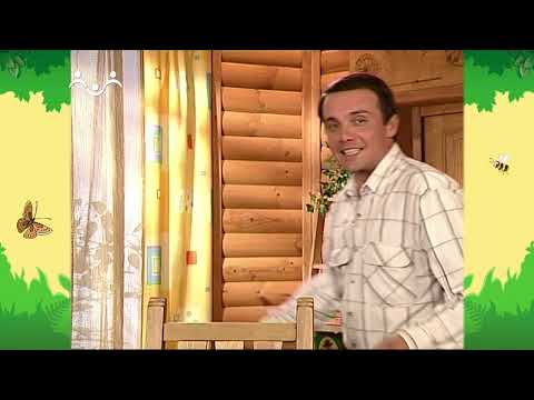 День в Шишкином Лесу. Шуня - коллекционер