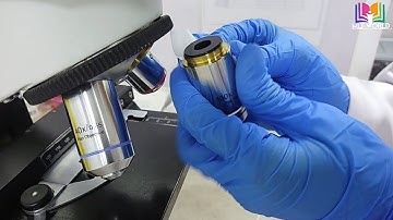 How to clean microscope lens easily.