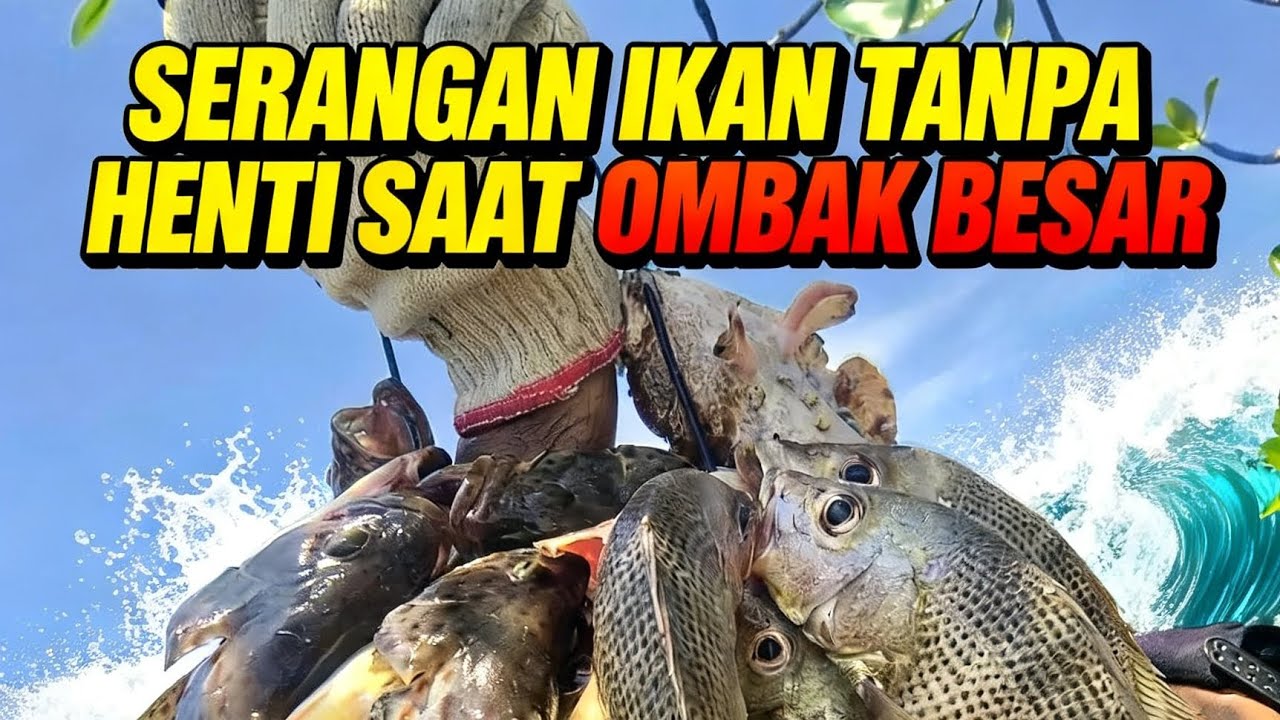 Part #1 Ombak besar ikan besar #fishing 
