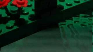 Water Reflection Test