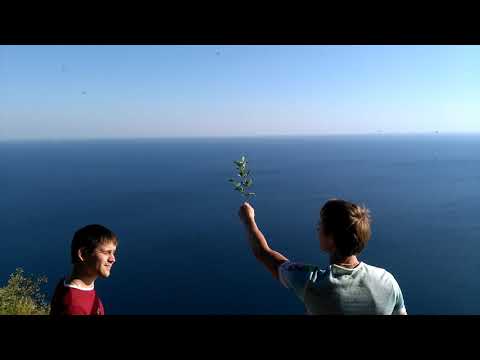 Абрау-Дюрсо достопримечательности и развлечения. Новороссийск 2019.