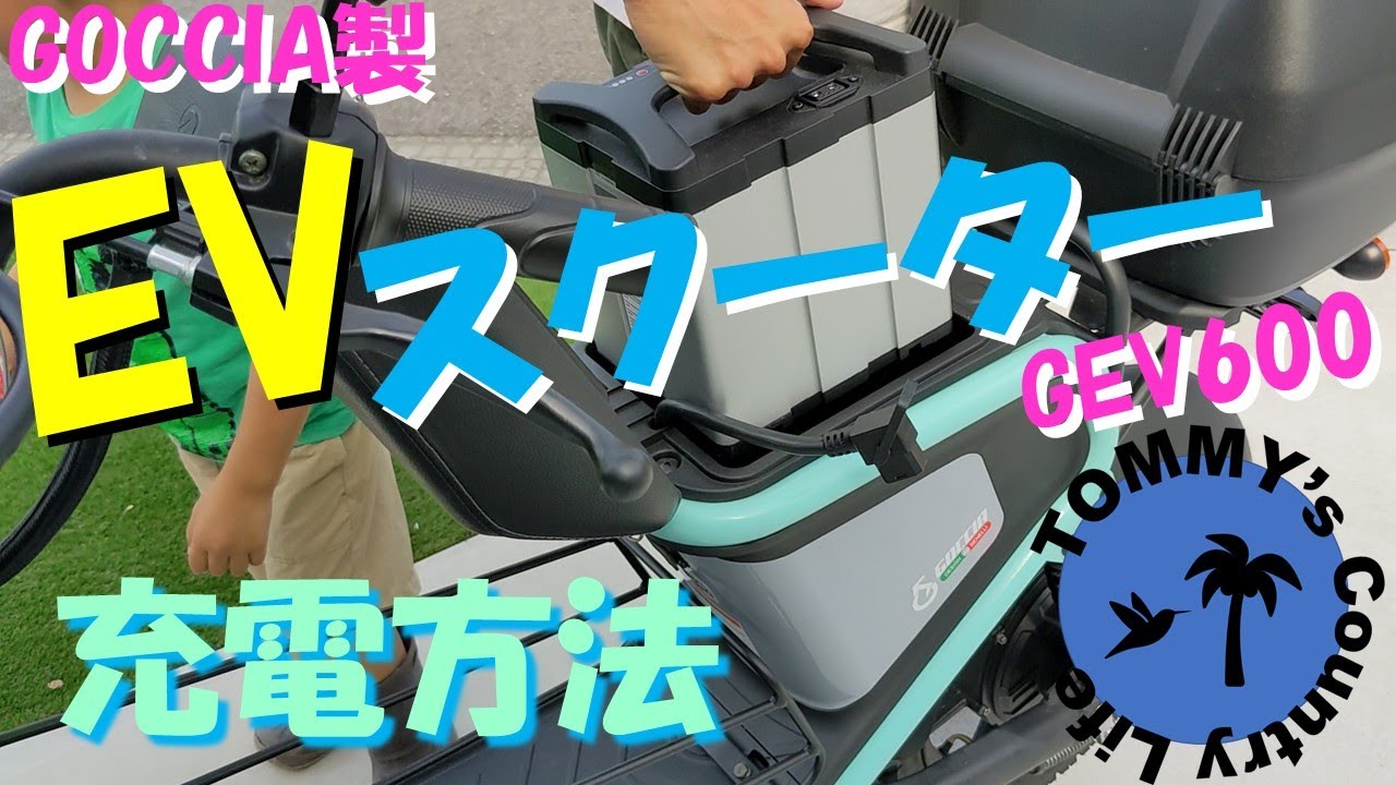 GOCCIA.GeV600.充電器 GEV600の充電で気をつけたい3つのこと | GOCCIA GEV600の日々