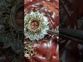 We are a Chinese jewelry factory and can process any complex process. Welcome to contact us.