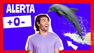 ✅ Soñar con DELFINES NADANDO!!! ❌ QUE SIGNIFICA Soñar con DELFINES (2021) Sueños Que Revelan