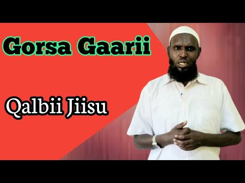 Sheek Mikaail Husseen Gorssa Gaarii Qalbii Jiisu