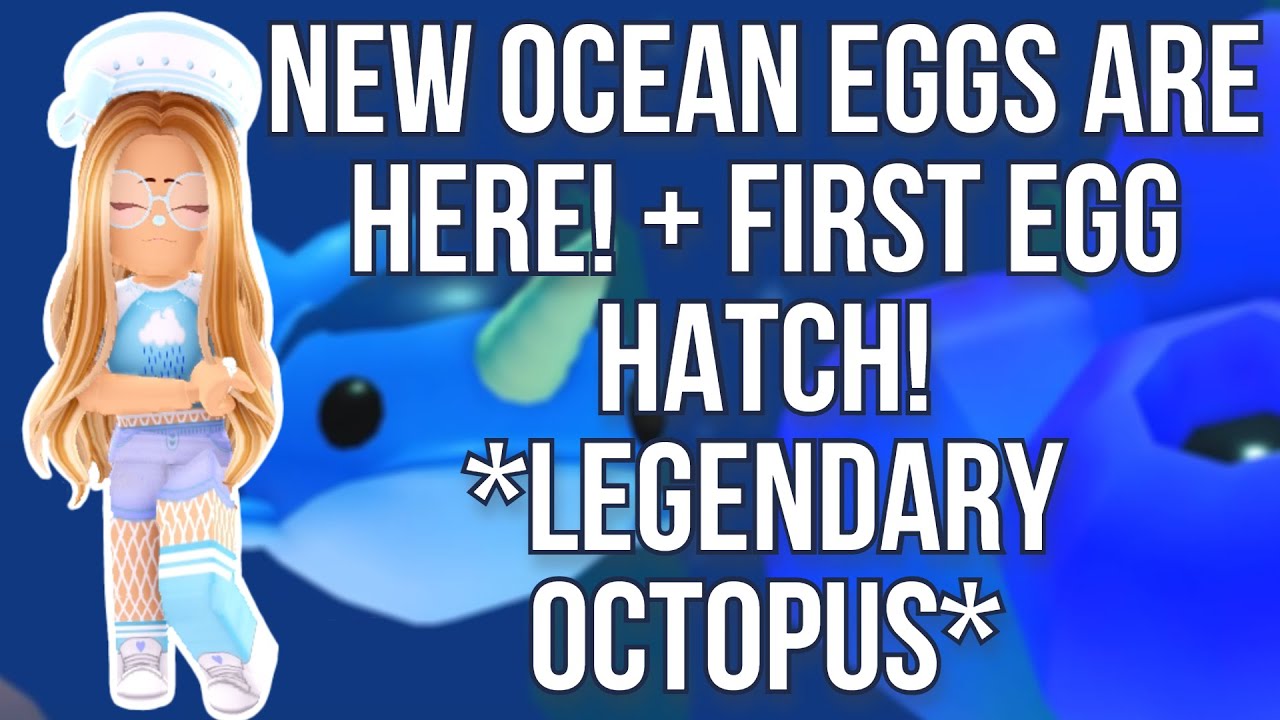 NEW OCEAN EGGS + FIRST EGG HATCH