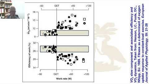 Oxygen kinetics: Slow component