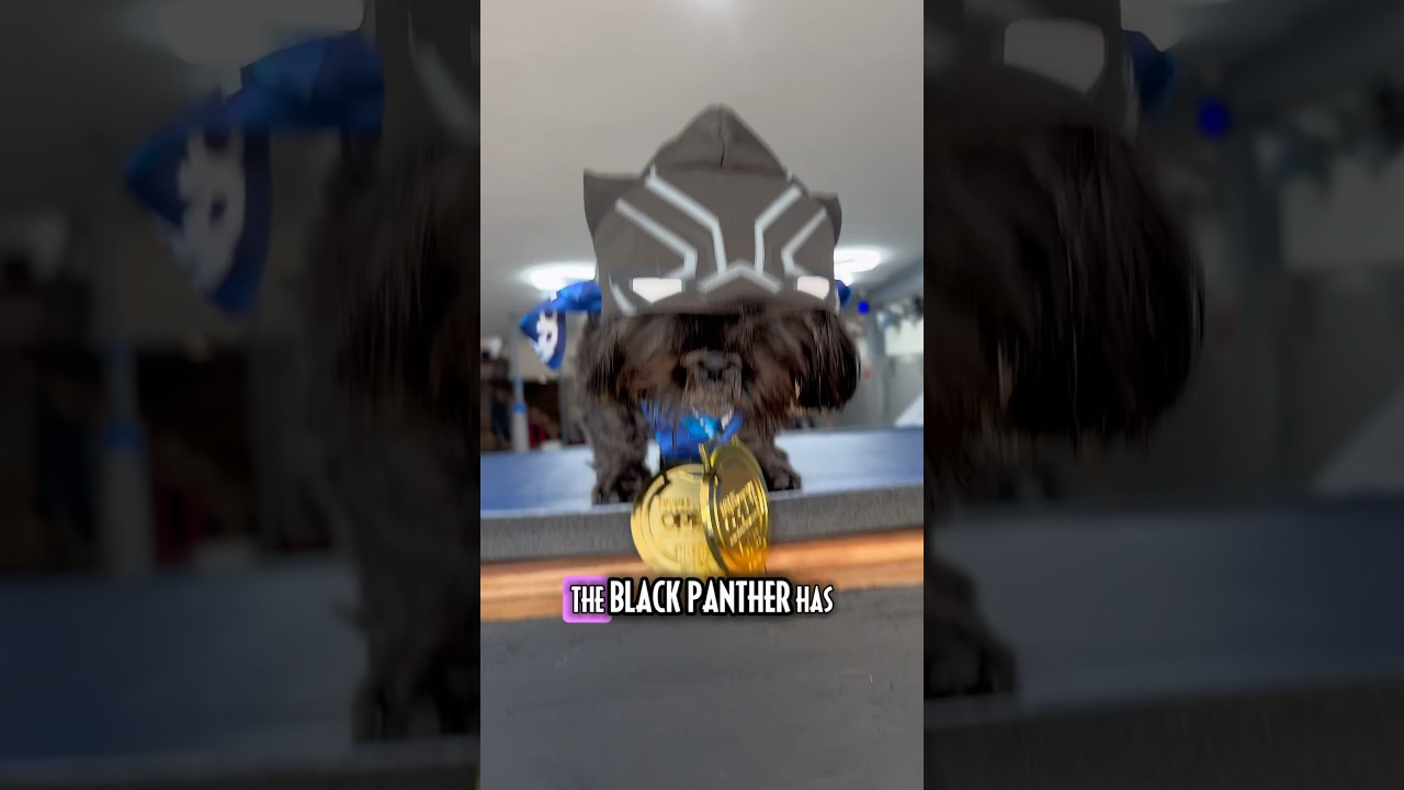 The Black Panther has been the protector of Wakanda for generations 