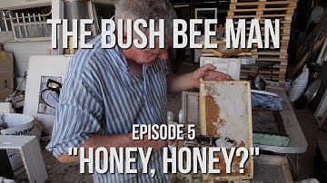 Extracting Honey from Honeycomb -  Episode 5: "Honey, Honey"