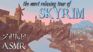 ASMR | Welcome to Skyrim, I will be your guide! 🏰 3D Soft Spoken Roleplay screenshot 5