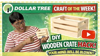 WAIT… This $1.25 Dollar Tree Crate Turned Into WHAT?! 😱 Dollar Tree HACK!!