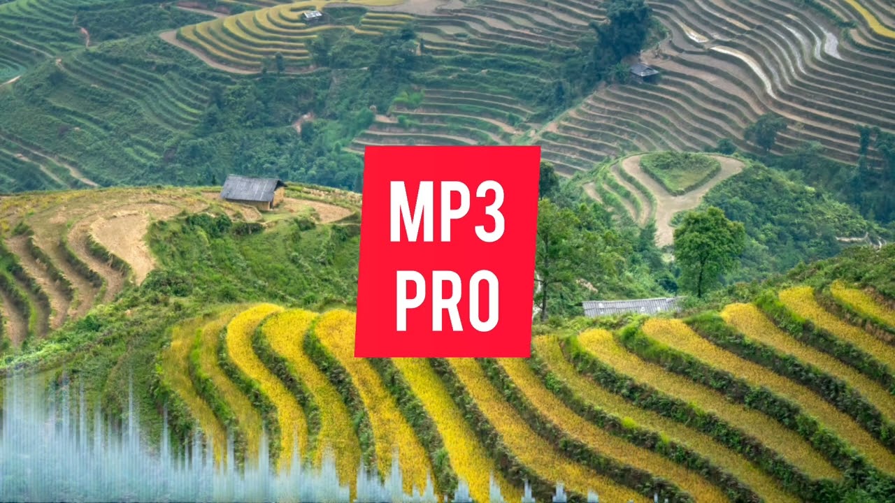 NAKTON - STANDING | MP3PRO28 No Copyright Music