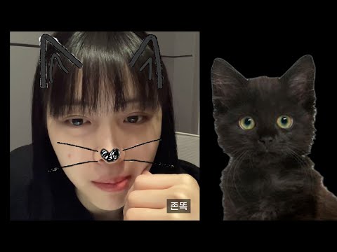 [ITZY](eng)검은 고양이 꿈꾼 썰