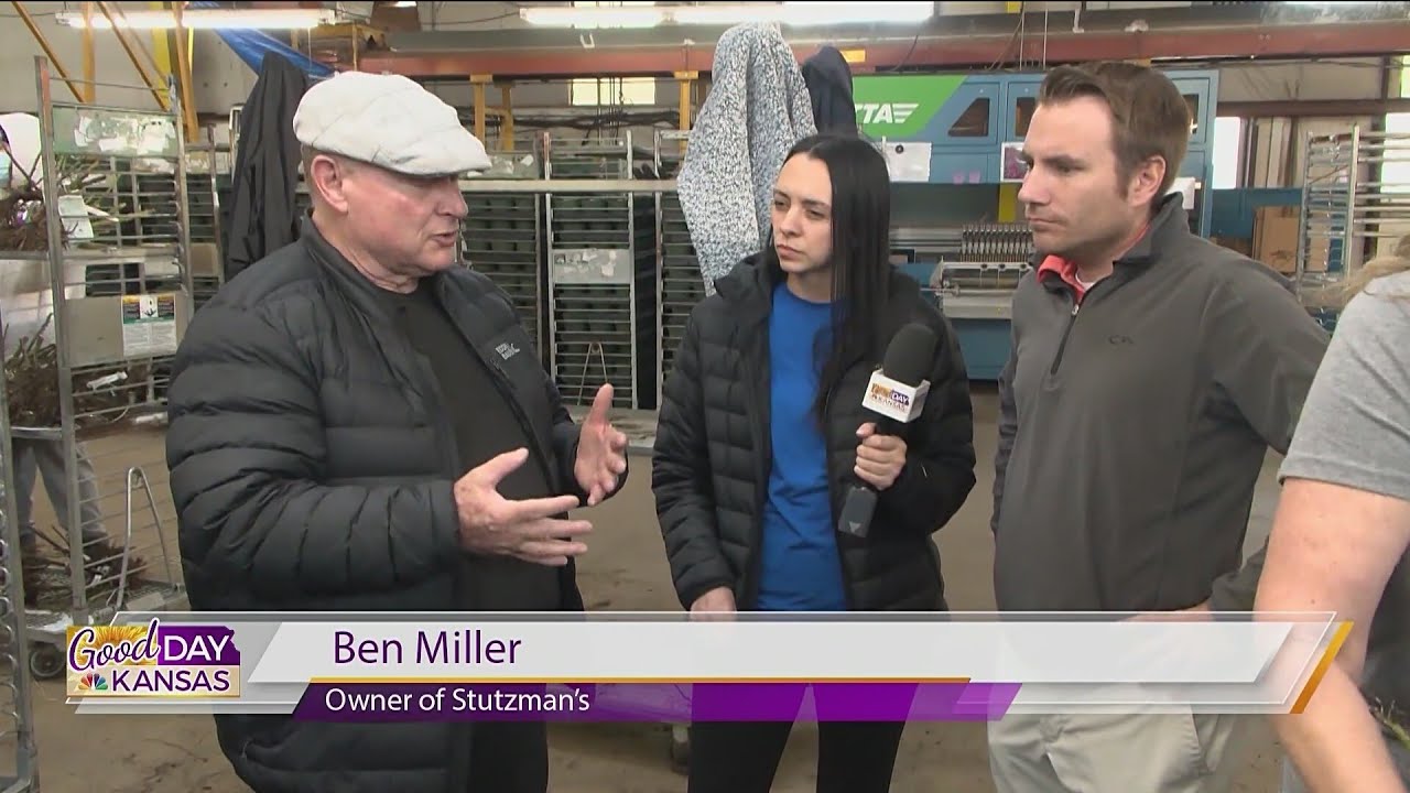 Let's Grow It - Stutzmans Rose Bushes