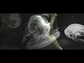 YUNG NIGO feat. SANO - Hibiscus