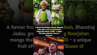 The 3.3 KG Mango! 🤯 Meet the MP Farmer Who Sold a Single 'Noorjahan' Mango for ₹3,800 🥭#trending