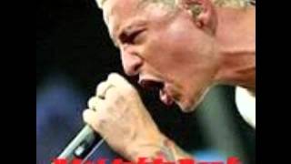 Linkin Park feat Jay-z Big Pimpim/Papercut