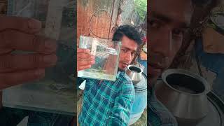 zebra breeding பன்னுவோமா #shortsfeed #shorts